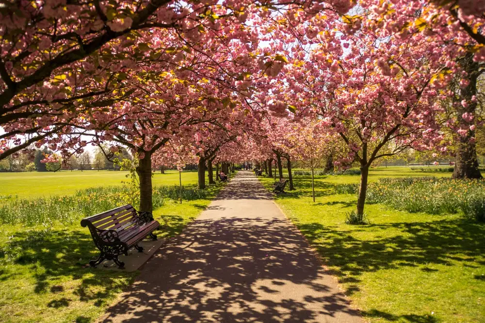 Hyde Park Civilizace Podcast